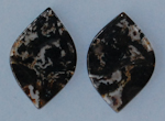 CB0685