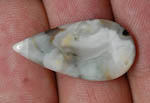 CB0781